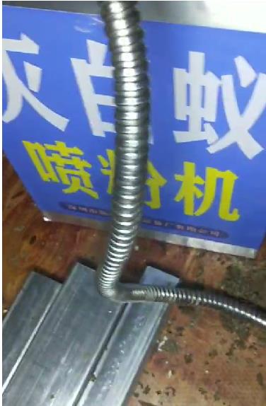 晋江英林石井灭白蚁治专业灭白蚁公司包根治售后有保障